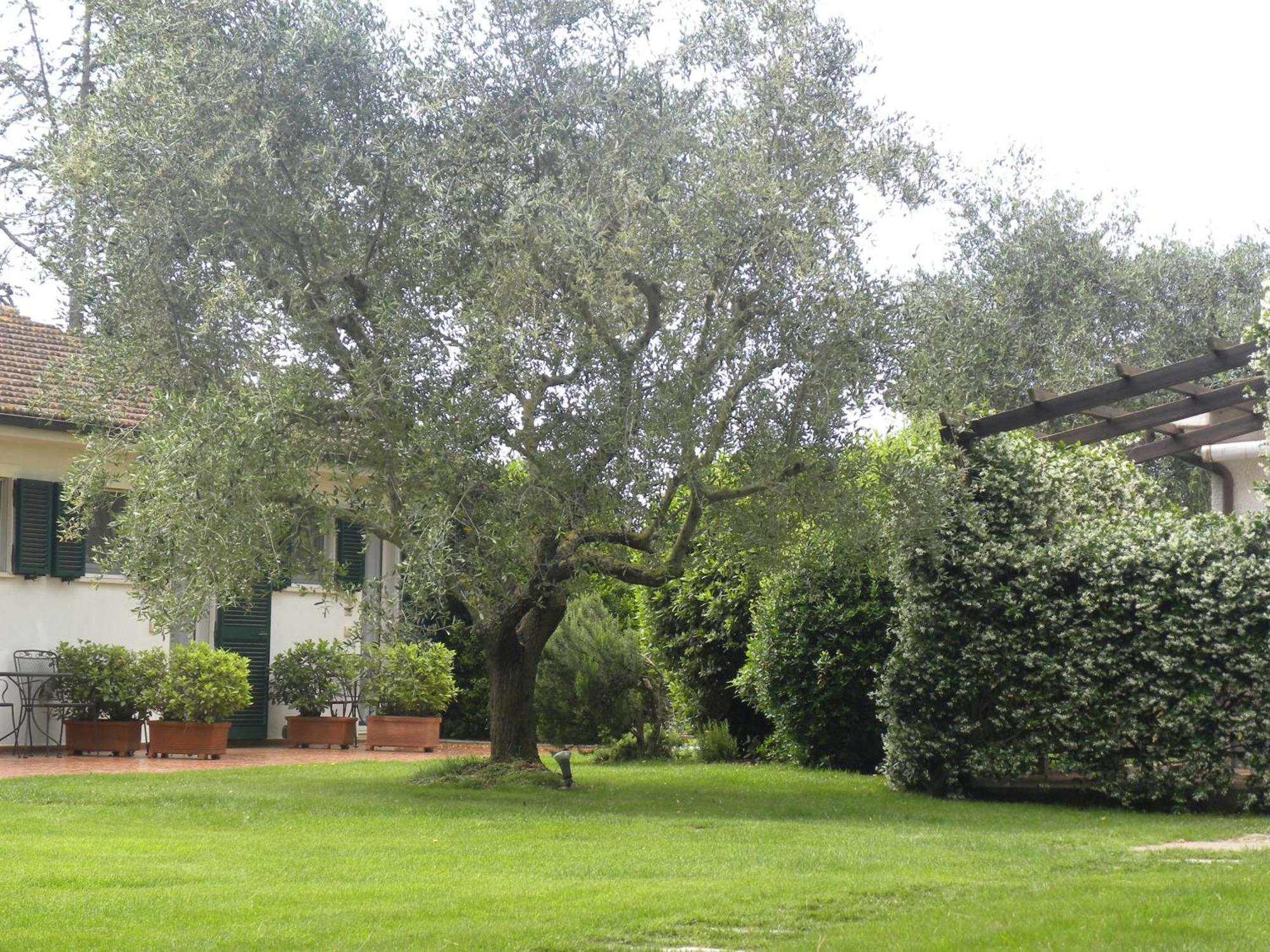 Ghiaccio Bosco Guest House Capalbio Exterior photo